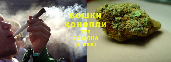 ешки Заводоуковск