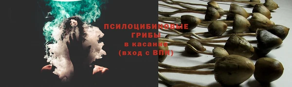 jwh Тайга