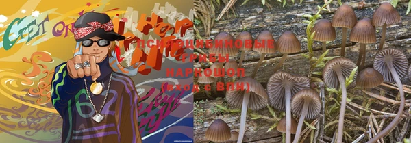 скорость Заволжье