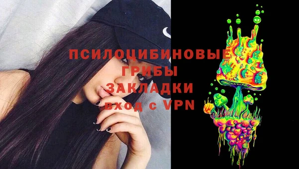 ешки Заводоуковск