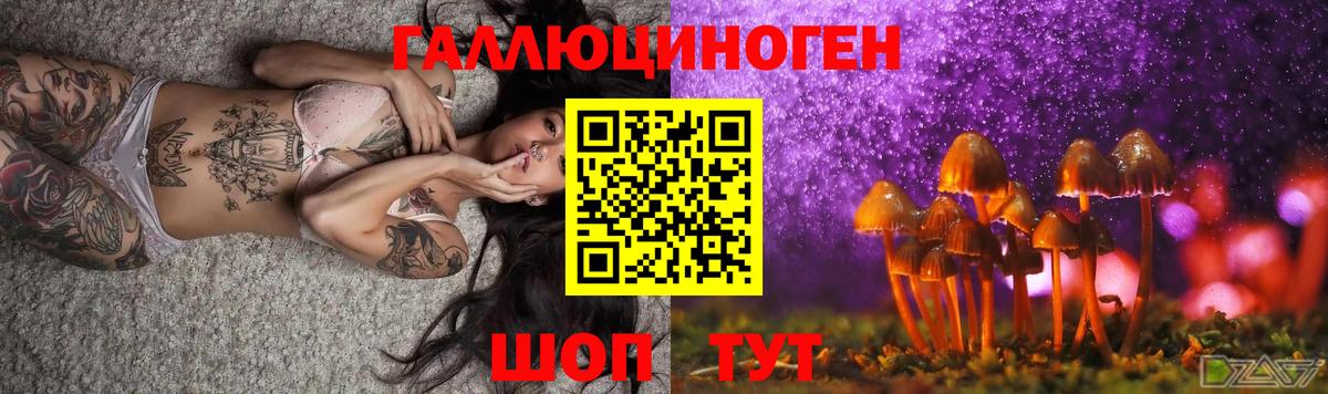Сланцы  Галлюциногенные грибы Magic Shrooms  Вход с VPN  Псилоцибиновые грибы прущие грибы 