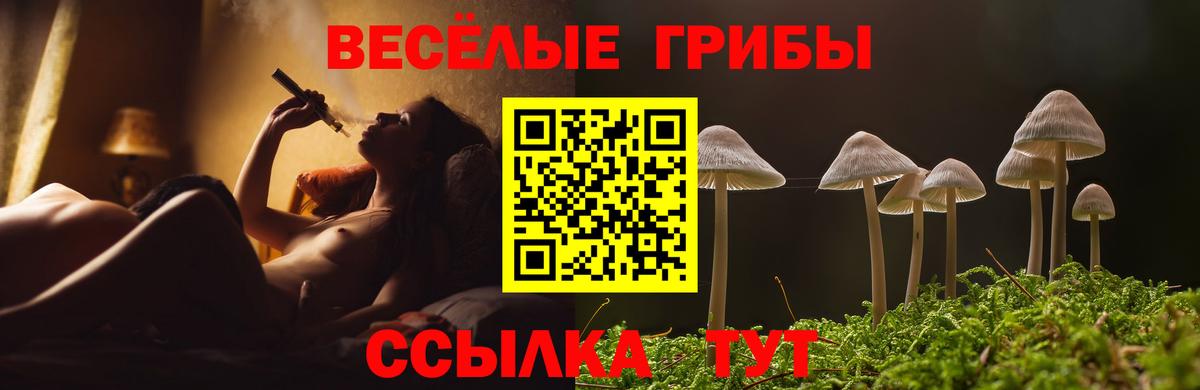 Галлюциногенные грибы MAGIC MUSHROOMS Сланцы