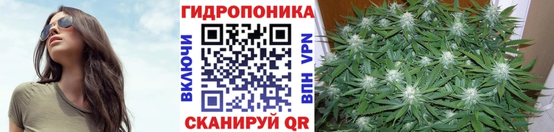 Каннабис Bruce Banner Сланцы